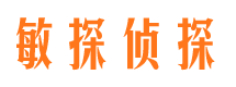 合作侦探公司